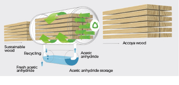 accoya_diagram