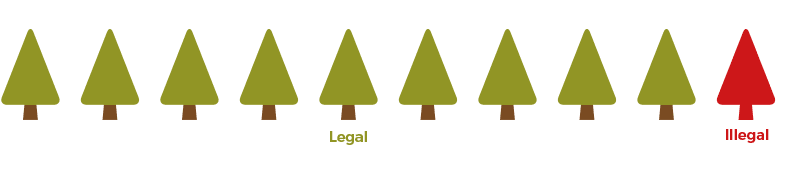 article_18_illegal_timber_infographic